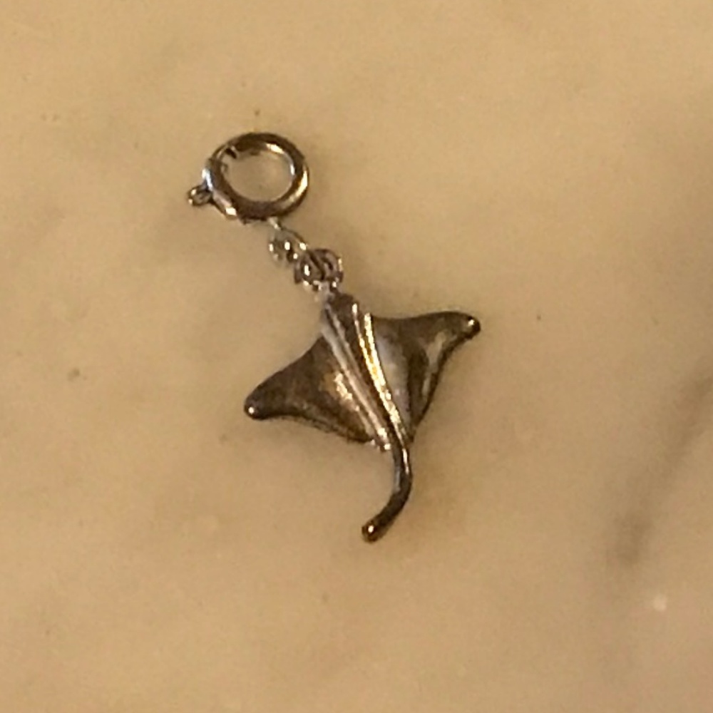 Silver Stingray Charm ✌️